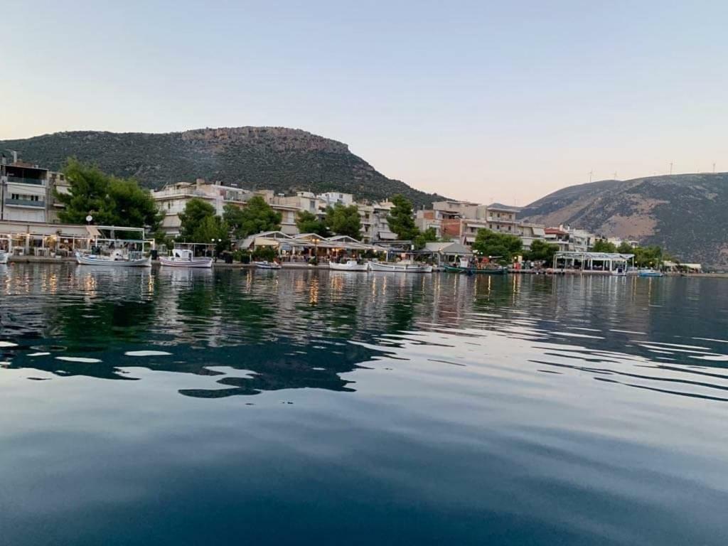 Porto Arimar Hotel Antikyra Eksteriør billede